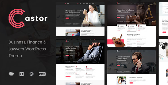 Castor Preview Wordpress Theme - Rating, Reviews, Preview, Demo & Download