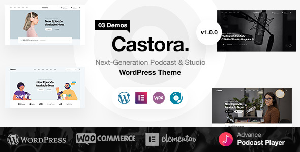 Castora Preview Wordpress Theme - Rating, Reviews, Preview, Demo & Download