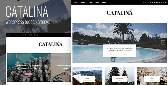 Catalina Preview Wordpress Theme - Rating, Reviews, Preview, Demo & Download