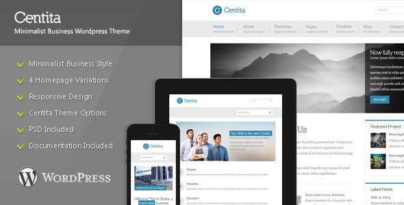 Centita Preview Wordpress Theme - Rating, Reviews, Preview, Demo & Download