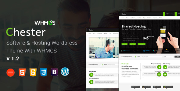 Chester Preview Wordpress Theme - Rating, Reviews, Preview, Demo & Download