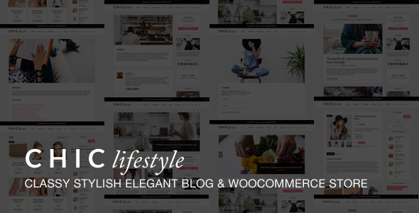 Chic Responsive Preview Wordpress Theme - Rating, Reviews, Preview, Demo & Download