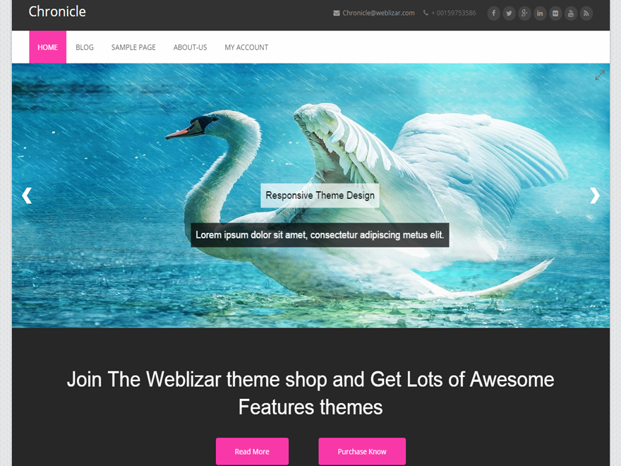 Chronicle Preview Wordpress Theme - Rating, Reviews, Preview, Demo & Download