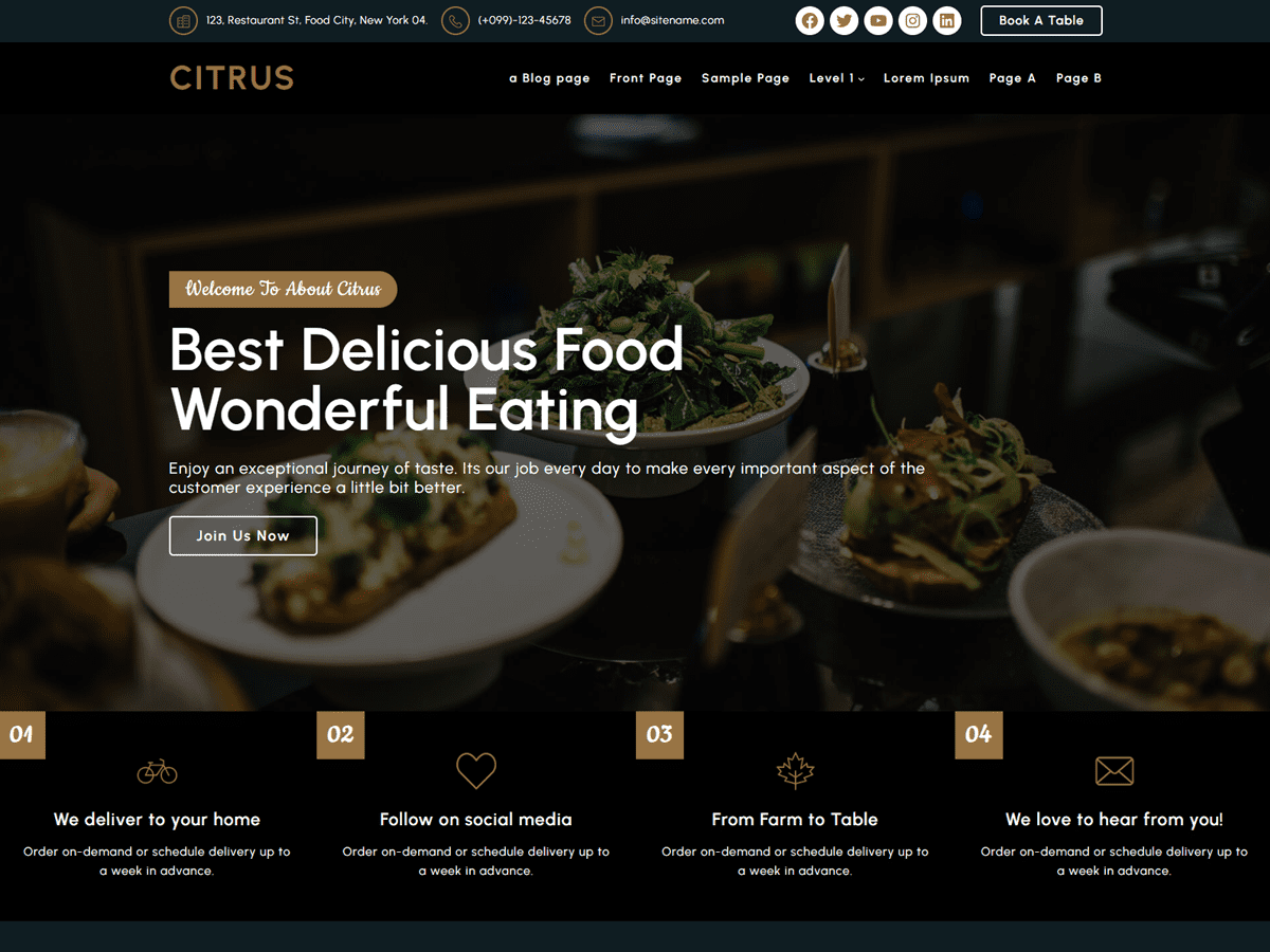 Citrus FSE Preview Wordpress Theme - Rating, Reviews, Preview, Demo & Download