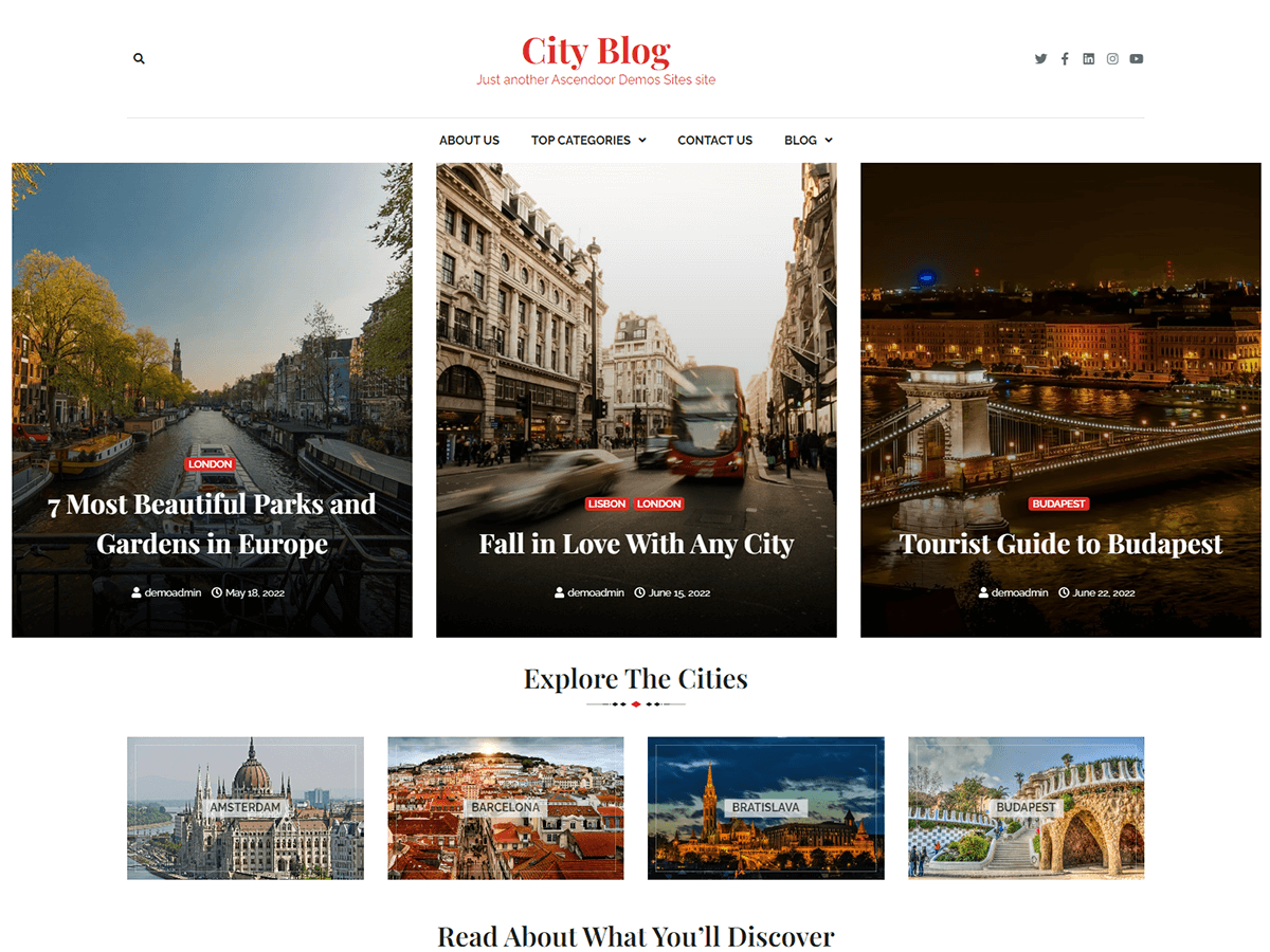City Blog Preview Wordpress Theme - Rating, Reviews, Preview, Demo & Download