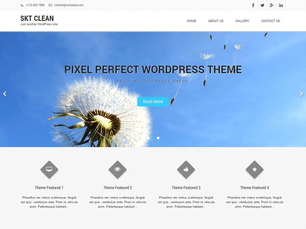 Clean Lite Preview Wordpress Theme - Rating, Reviews, Preview, Demo & Download
