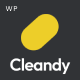Cleandy