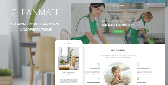 CleanMate Preview Wordpress Theme - Rating, Reviews, Preview, Demo & Download