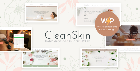 CleanSkin Preview Wordpress Theme - Rating, Reviews, Preview, Demo & Download