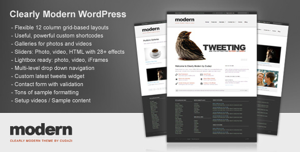 Clearly Modern Preview Wordpress Theme - Rating, Reviews, Preview, Demo & Download