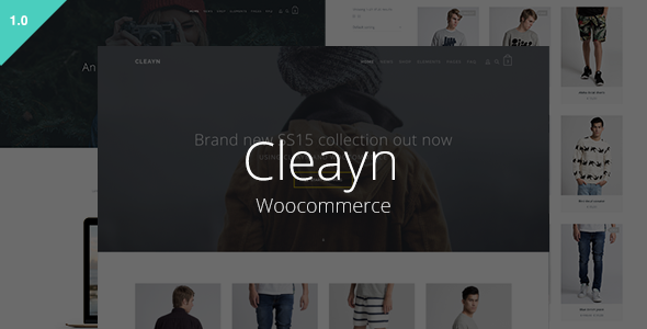 Cleayn Preview Wordpress Theme - Rating, Reviews, Preview, Demo & Download