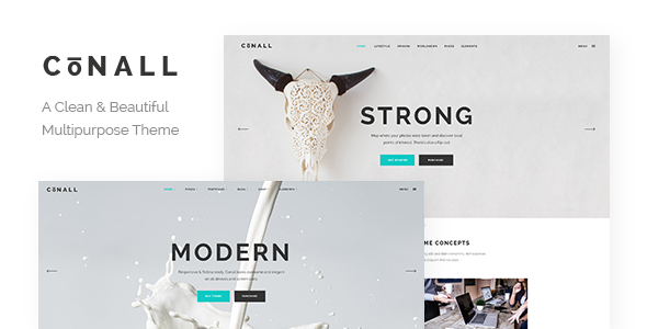 Conall Preview Wordpress Theme - Rating, Reviews, Preview, Demo & Download