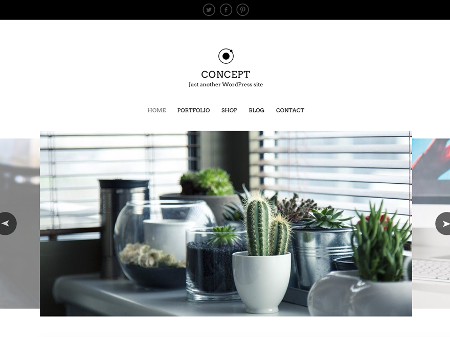 Concept Lite Preview Wordpress Theme - Rating, Reviews, Preview, Demo & Download