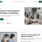 ConsultingWP Light