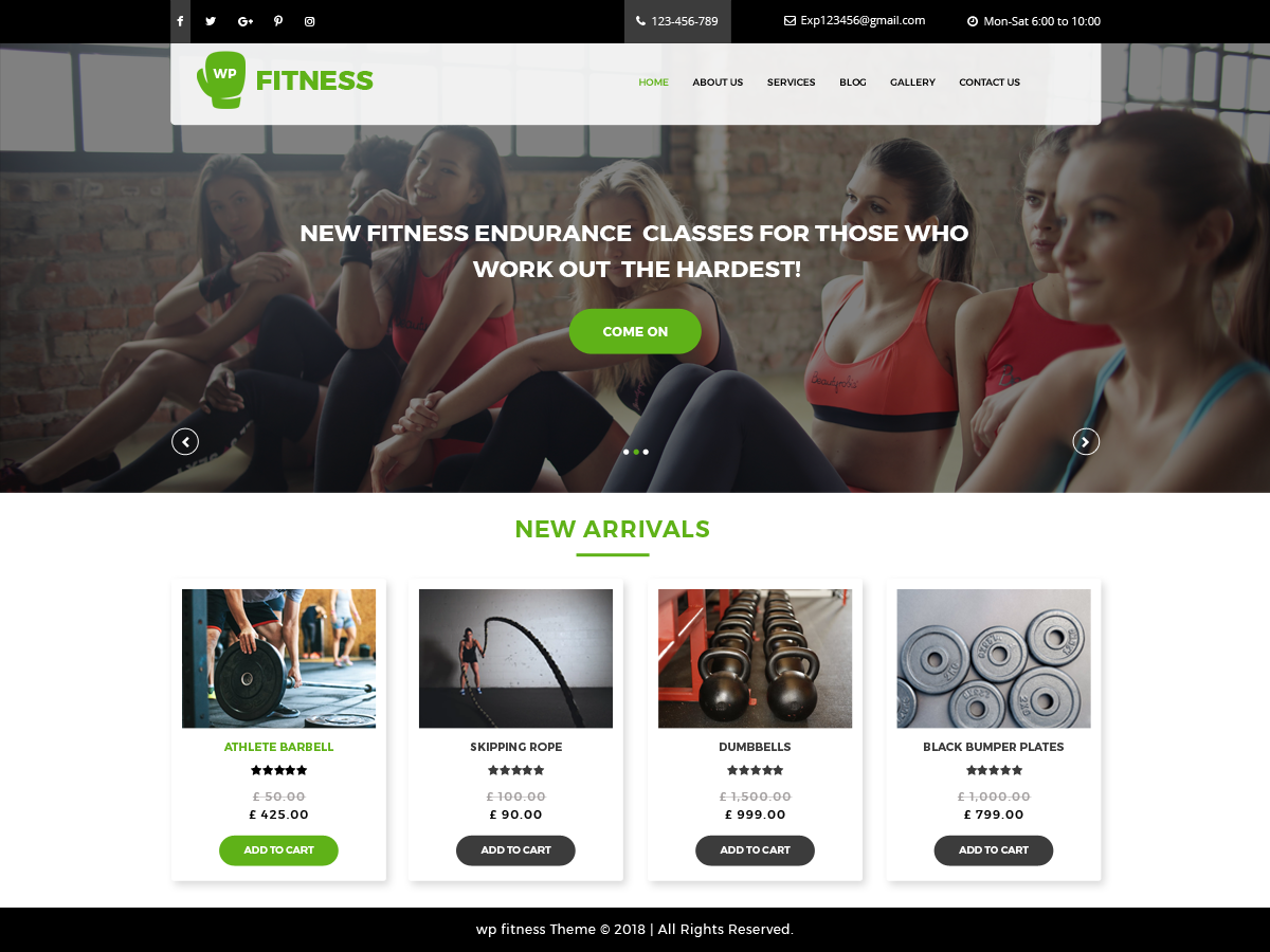 Core Fitness Preview Wordpress Theme - Rating, Reviews, Preview, Demo & Download