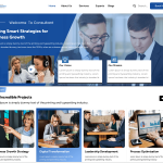 Corporate Consultancy