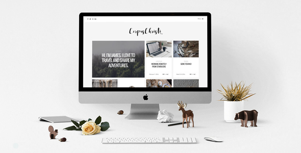 CorpusChristi Preview Wordpress Theme - Rating, Reviews, Preview, Demo & Download