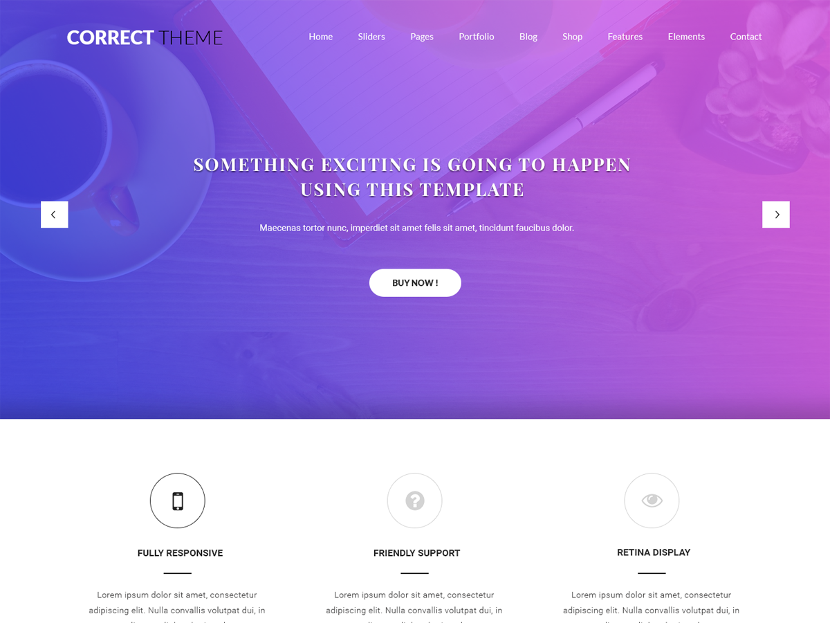 Correct Lite Preview Wordpress Theme - Rating, Reviews, Preview, Demo & Download