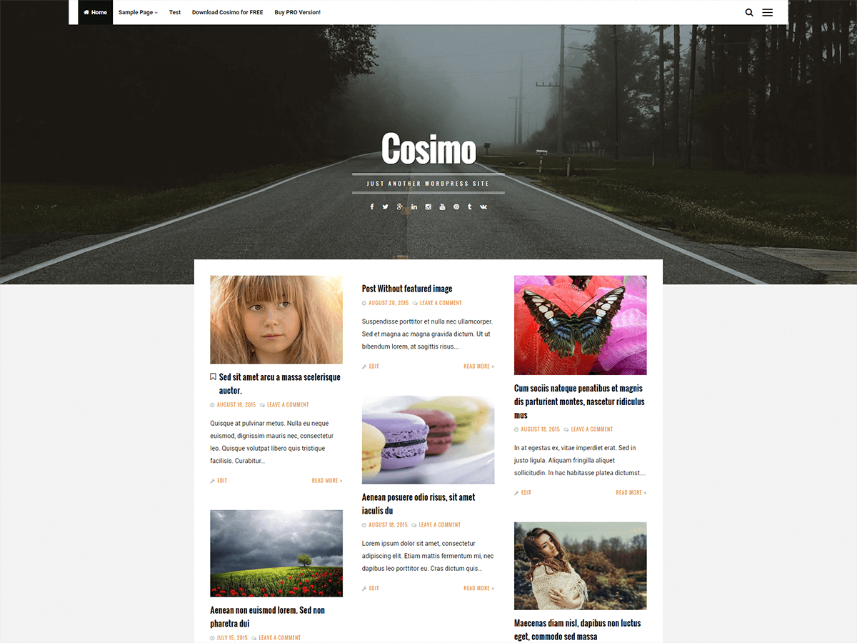 Cosimo Preview Wordpress Theme - Rating, Reviews, Preview, Demo & Download