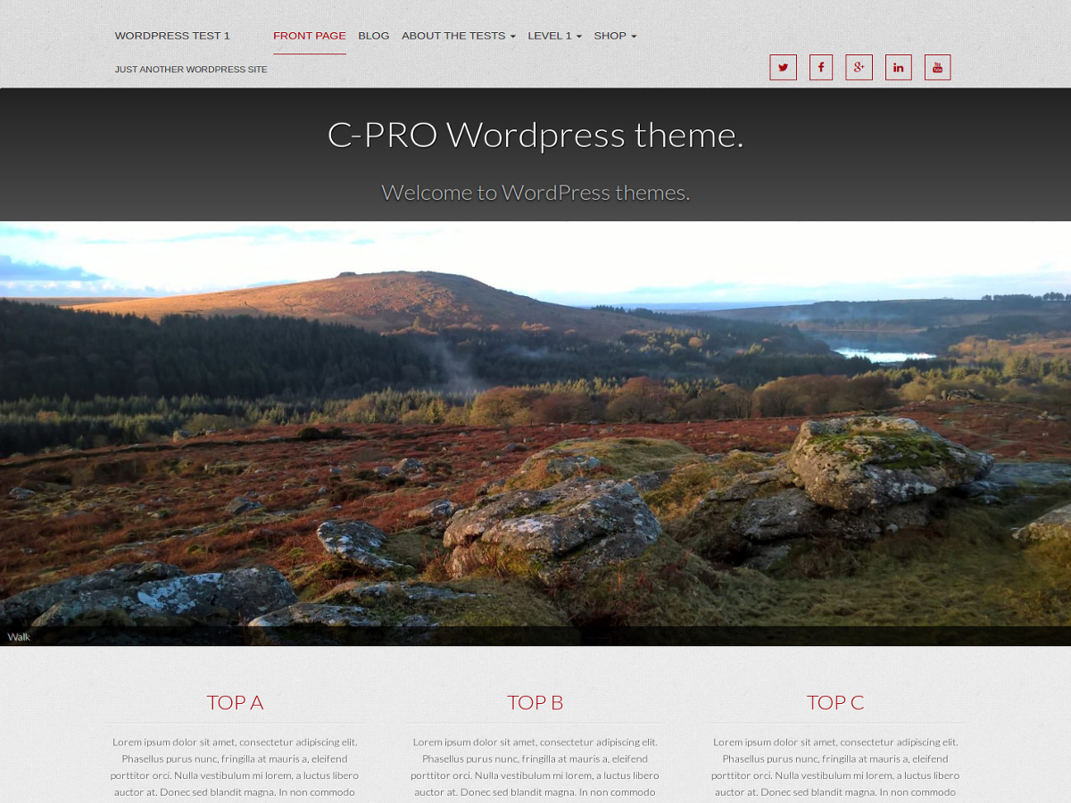 Cpro Preview Wordpress Theme - Rating, Reviews, Preview, Demo & Download