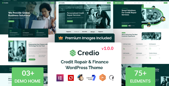 Credio Preview Wordpress Theme - Rating, Reviews, Preview, Demo & Download