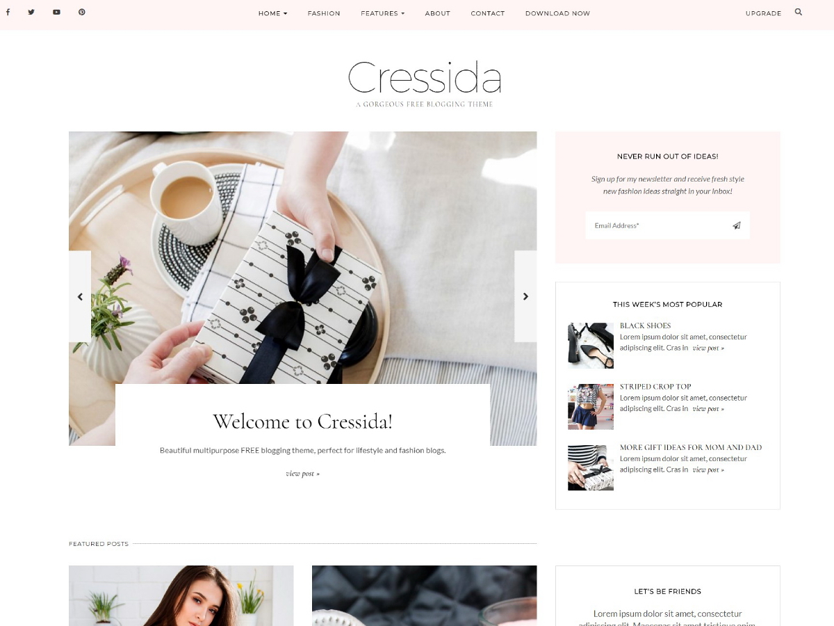 Cressida Preview Wordpress Theme - Rating, Reviews, Preview, Demo & Download