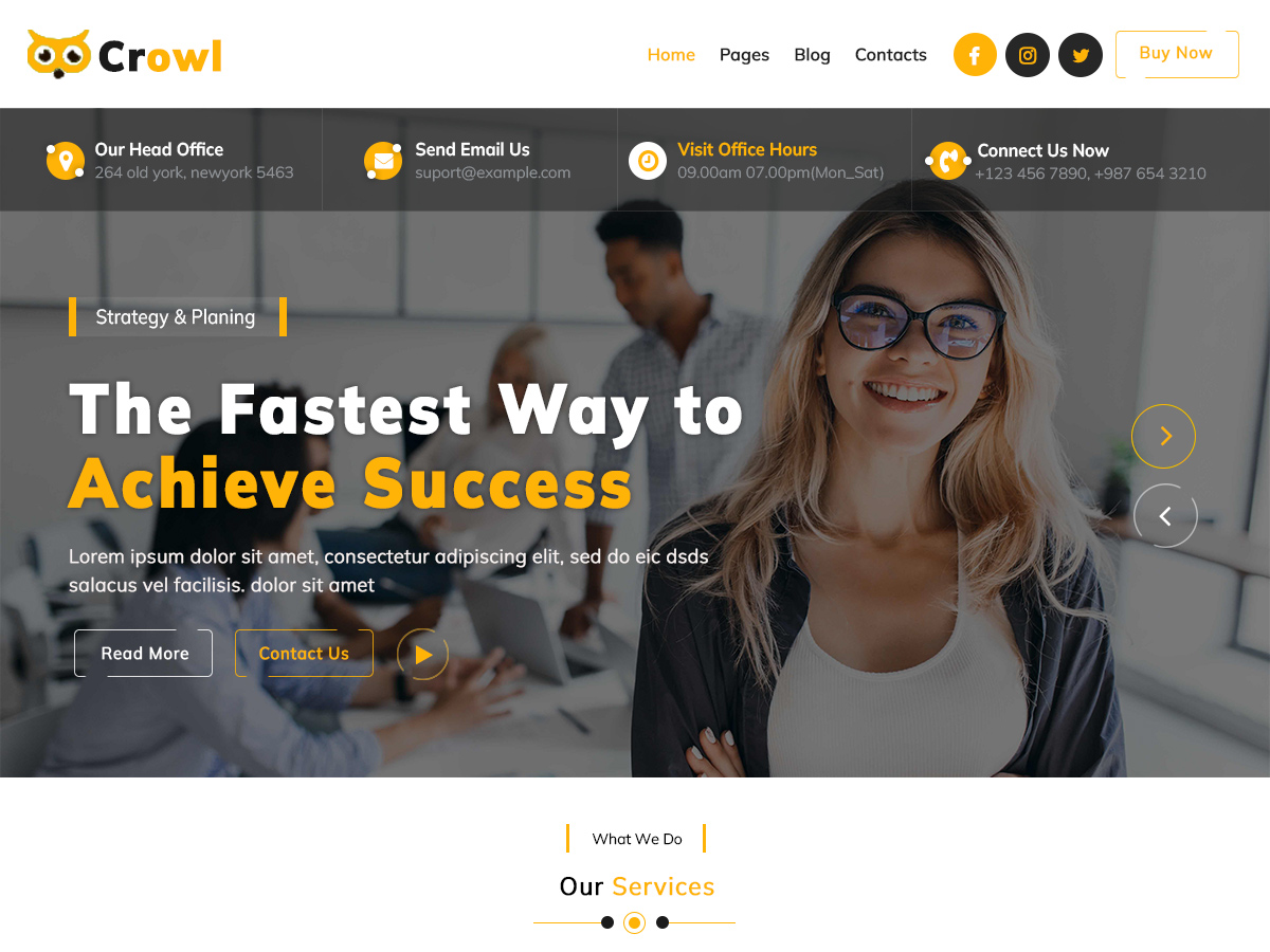 Crowl Preview Wordpress Theme - Rating, Reviews, Preview, Demo & Download