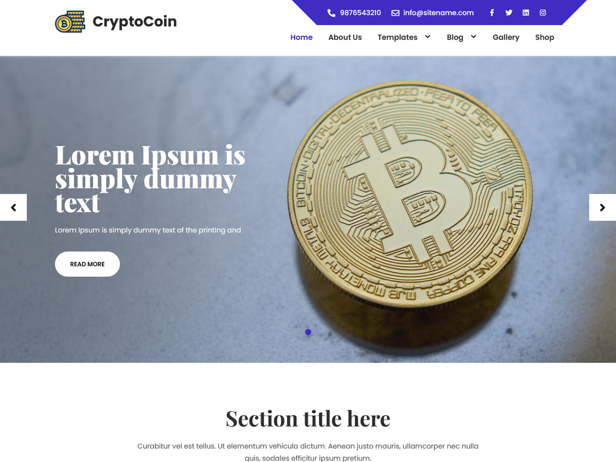 CryptoCoin Lite Preview Wordpress Theme - Rating, Reviews, Preview, Demo & Download