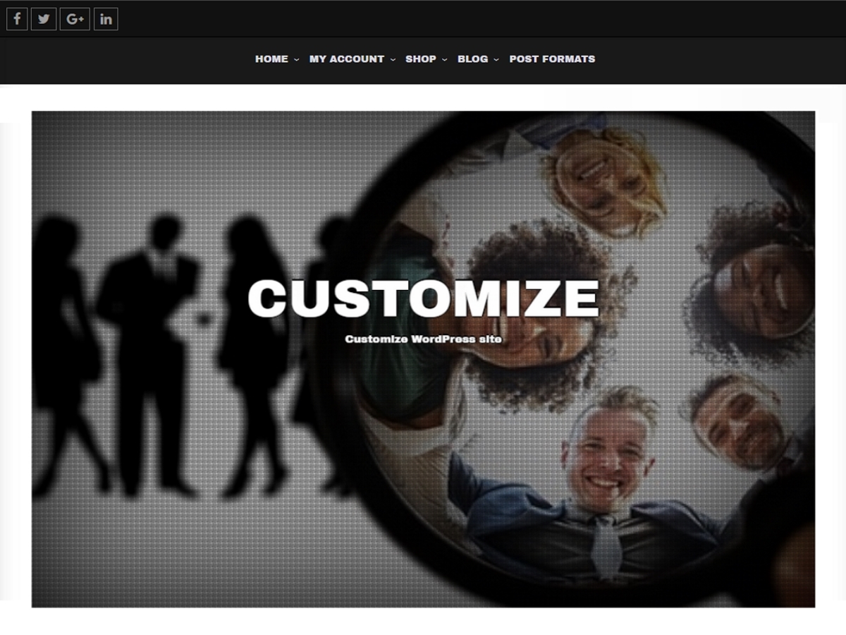 Customize Preview Wordpress Theme - Rating, Reviews, Preview, Demo & Download