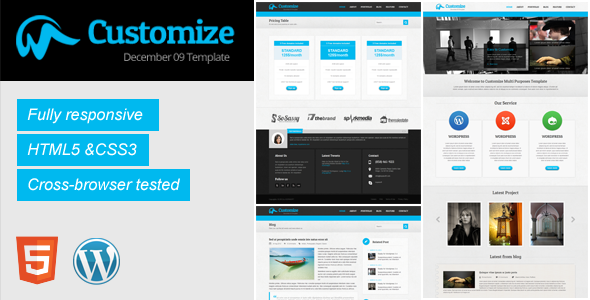 Customize Responsive Preview Wordpress Theme - Rating, Reviews, Preview, Demo & Download