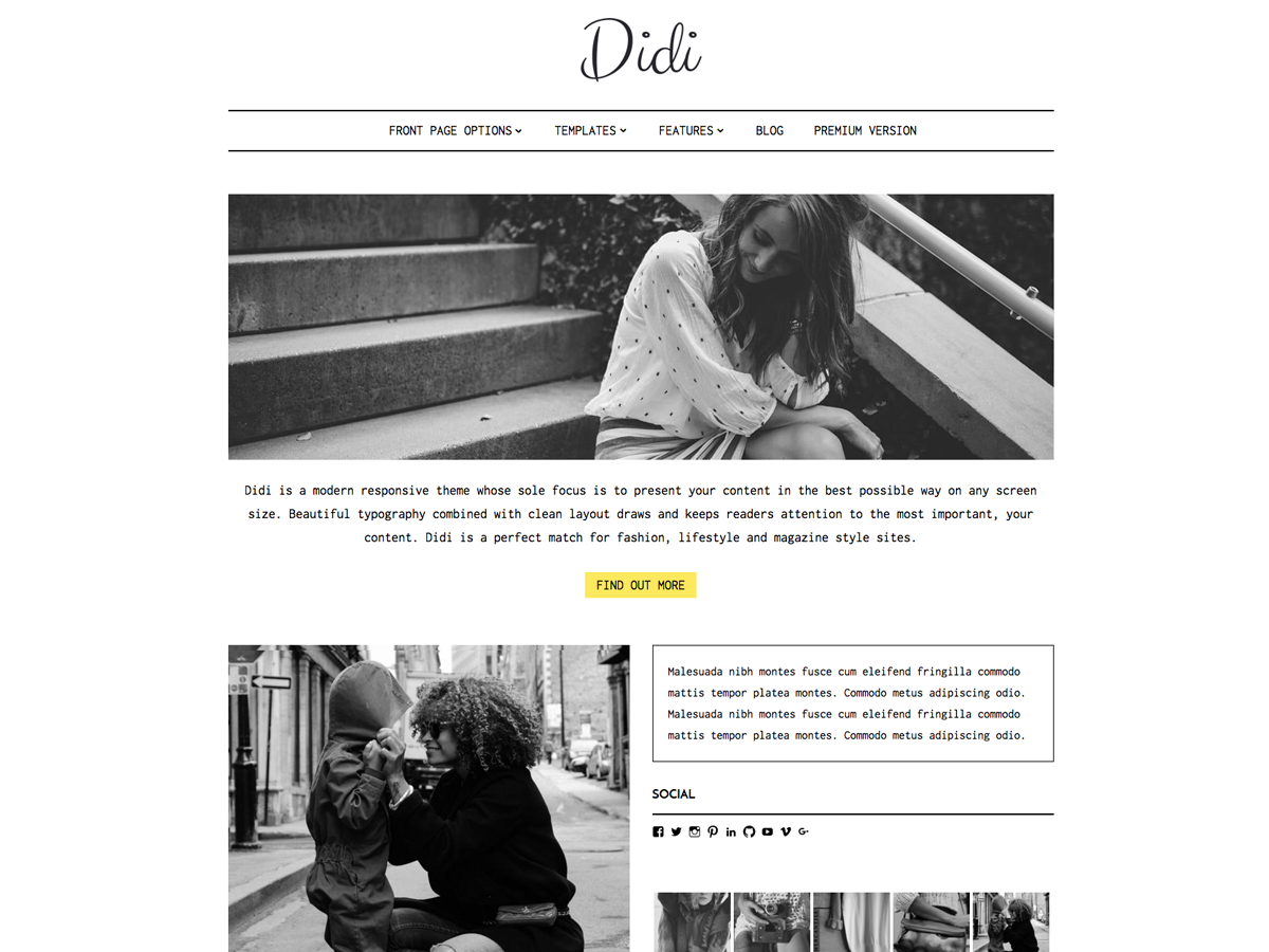 Didi Lite Preview Wordpress Theme - Rating, Reviews, Preview, Demo & Download