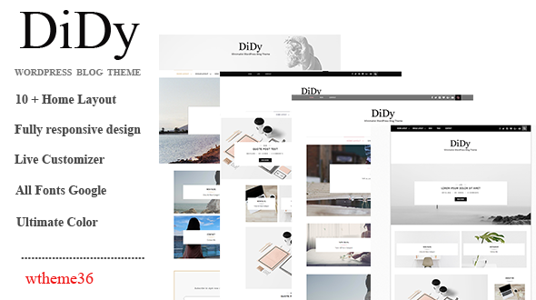 DiDy Preview Wordpress Theme - Rating, Reviews, Preview, Demo & Download