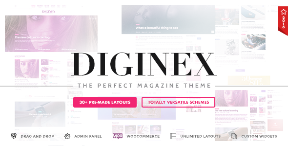 Diginex Preview Wordpress Theme - Rating, Reviews, Preview, Demo & Download
