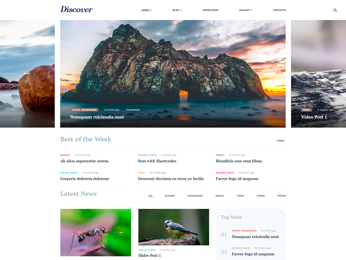 Discover RW Preview Wordpress Theme - Rating, Reviews, Preview, Demo & Download