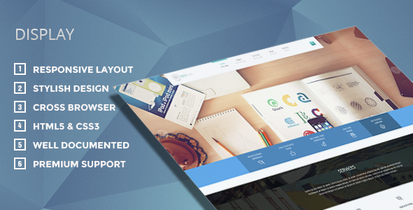 Display Preview Wordpress Theme - Rating, Reviews, Preview, Demo & Download
