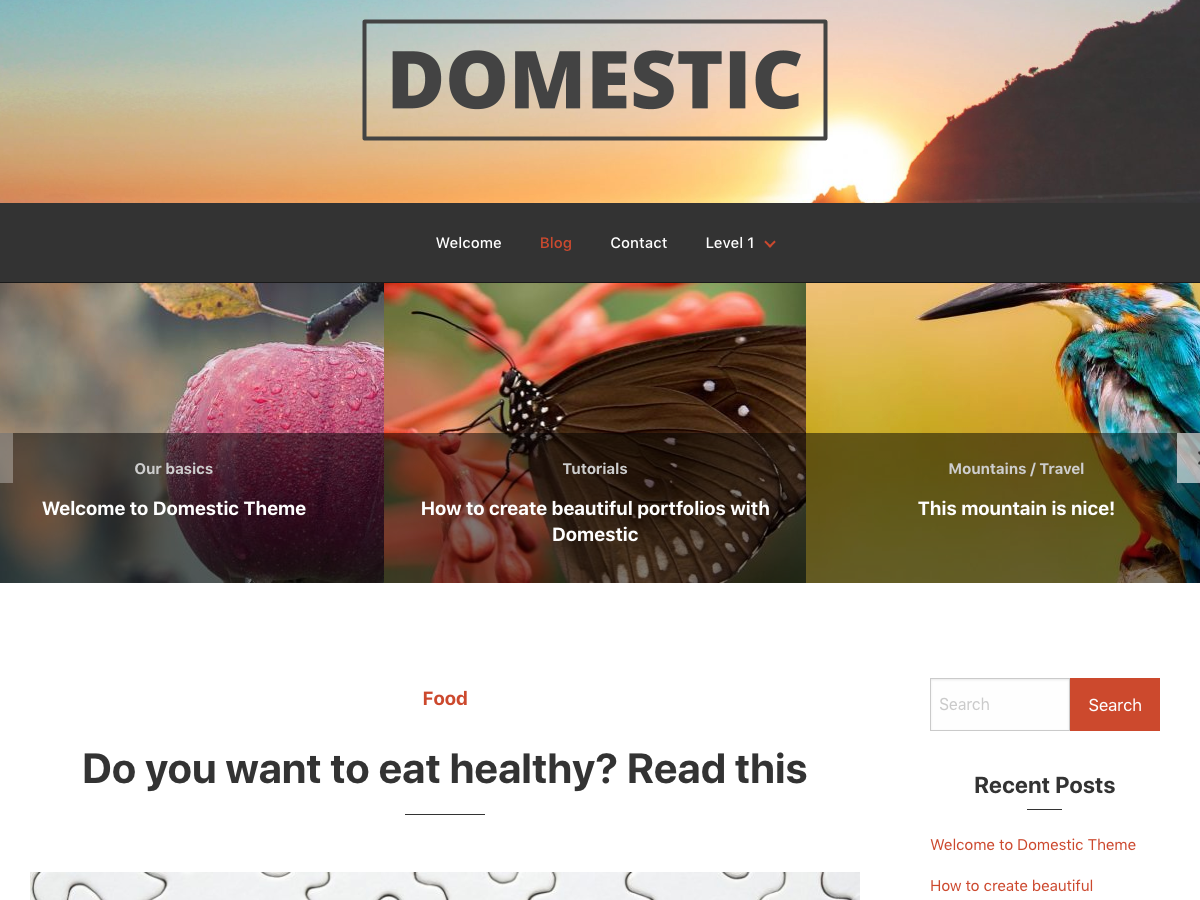 Domestic Preview Wordpress Theme - Rating, Reviews, Preview, Demo & Download