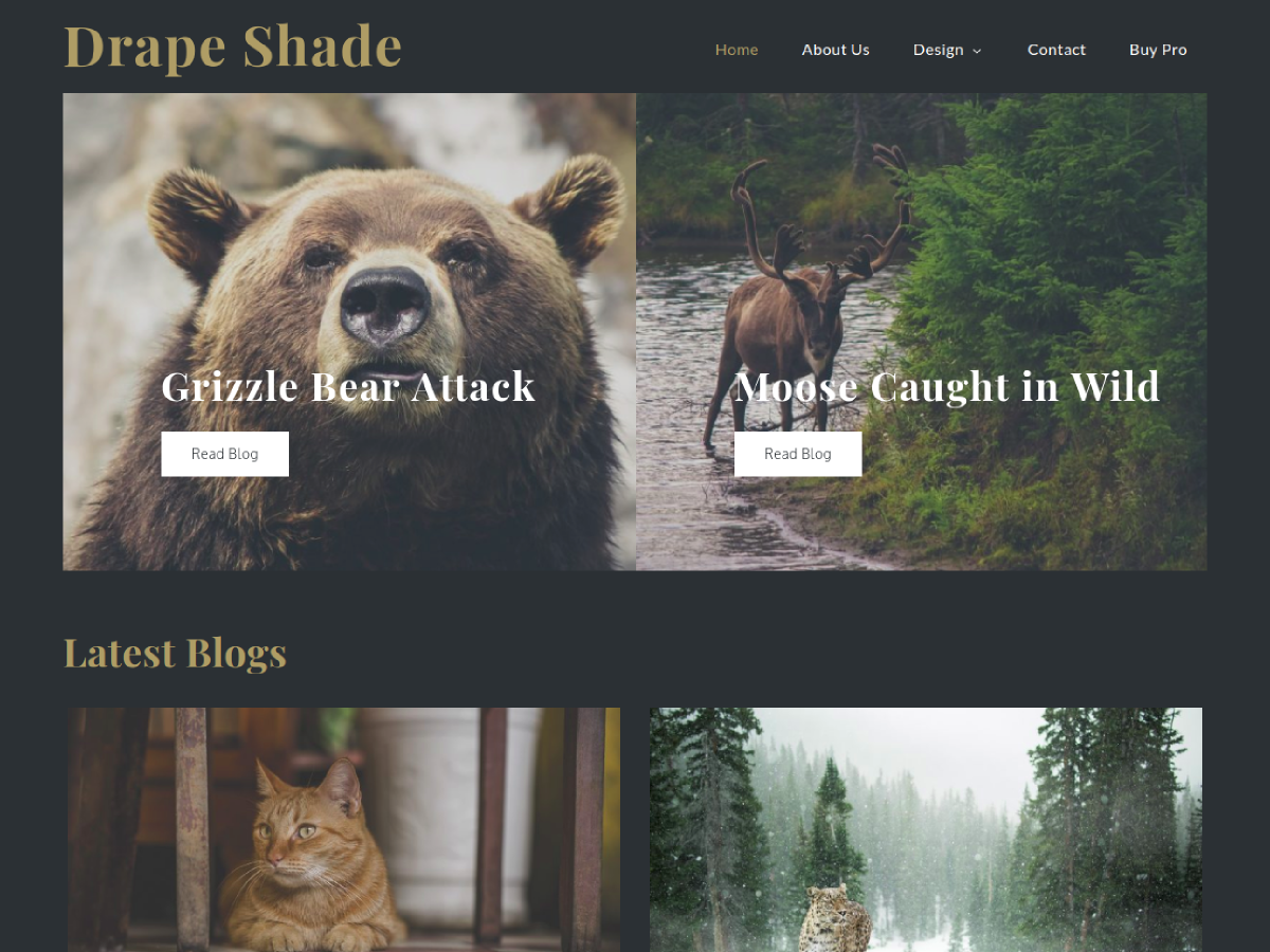 Drape Shade Preview Wordpress Theme - Rating, Reviews, Preview, Demo & Download