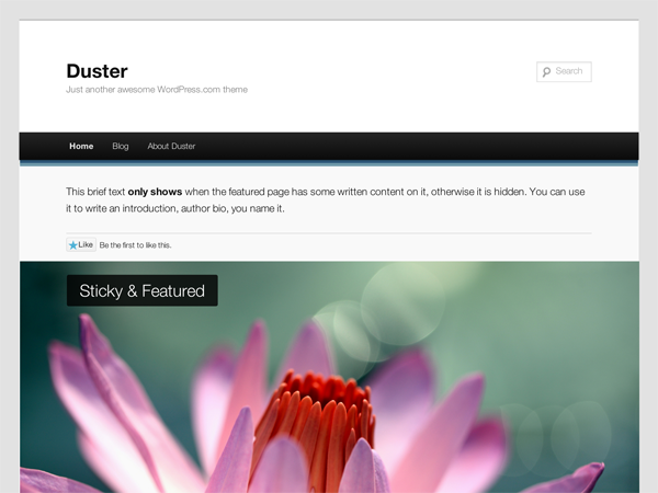 Duster Preview Wordpress Theme - Rating, Reviews, Preview, Demo & Download