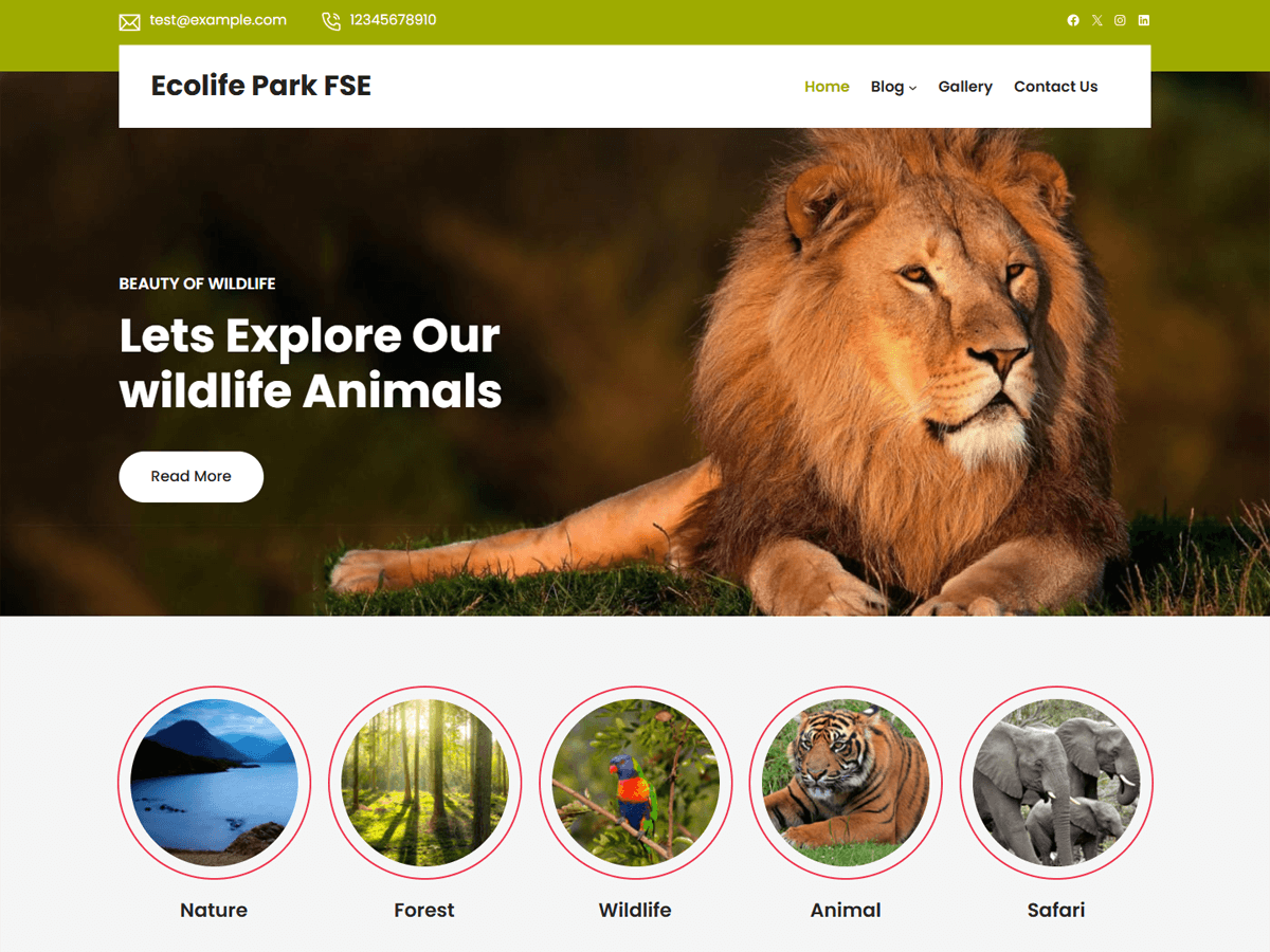 Ecolife Park Preview Wordpress Theme - Rating, Reviews, Preview, Demo & Download