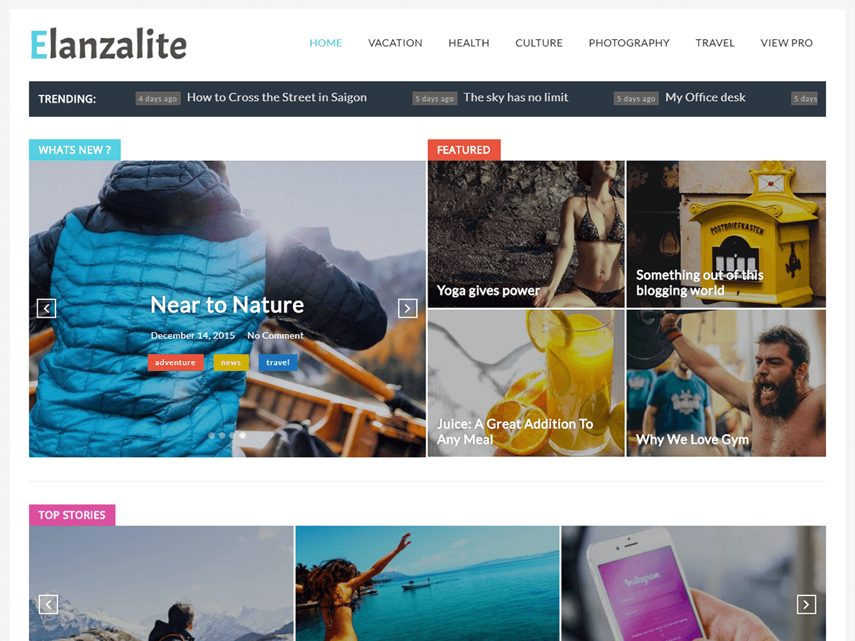 ElanzaLite Preview Wordpress Theme - Rating, Reviews, Preview, Demo & Download