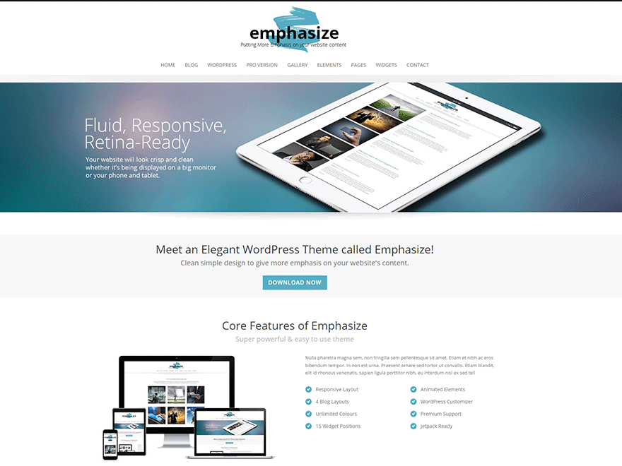 Emphasize Preview Wordpress Theme - Rating, Reviews, Preview, Demo & Download