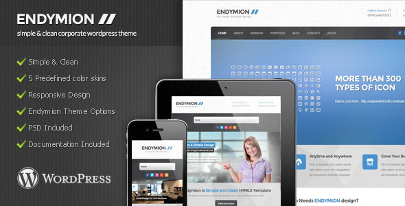 Endymion Preview Wordpress Theme - Rating, Reviews, Preview, Demo & Download