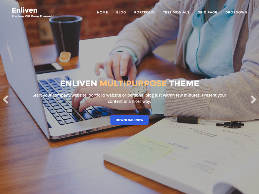 Enliven Preview Wordpress Theme - Rating, Reviews, Preview, Demo & Download