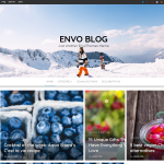 Envo Blog