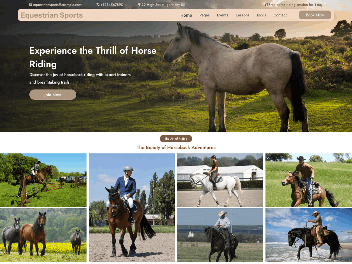 Equestrian Sports Preview Wordpress Theme - Rating, Reviews, Preview, Demo & Download
