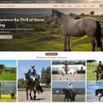 Equestrian Sports