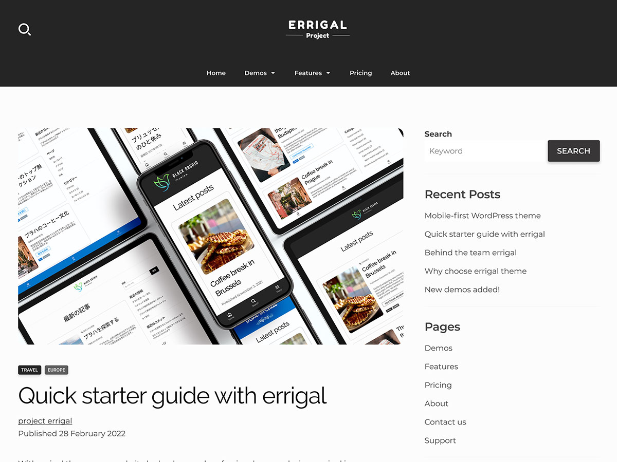 Errigal Preview Wordpress Theme - Rating, Reviews, Preview, Demo & Download