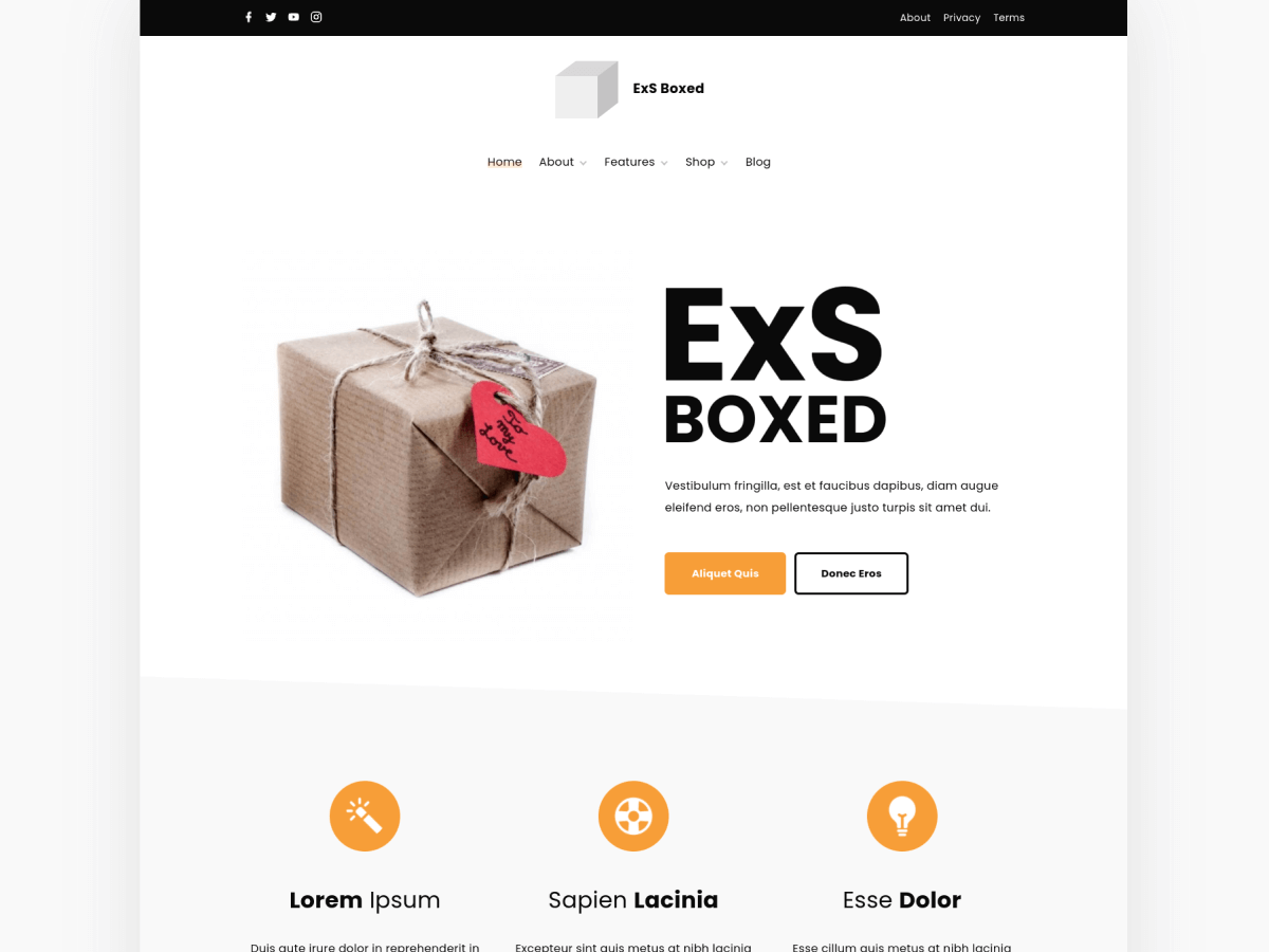 ExS Boxed Preview Wordpress Theme - Rating, Reviews, Preview, Demo & Download