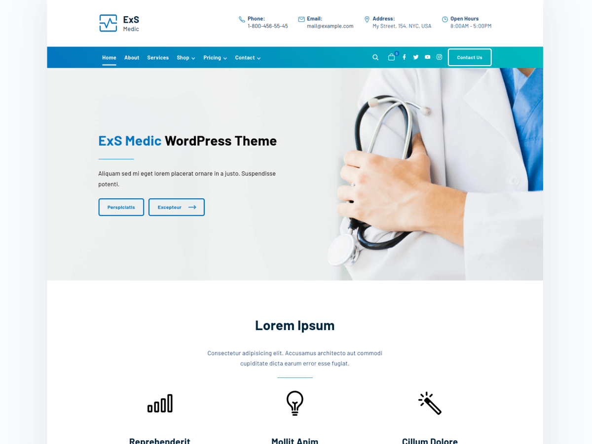 ExS Medic Preview Wordpress Theme - Rating, Reviews, Preview, Demo & Download