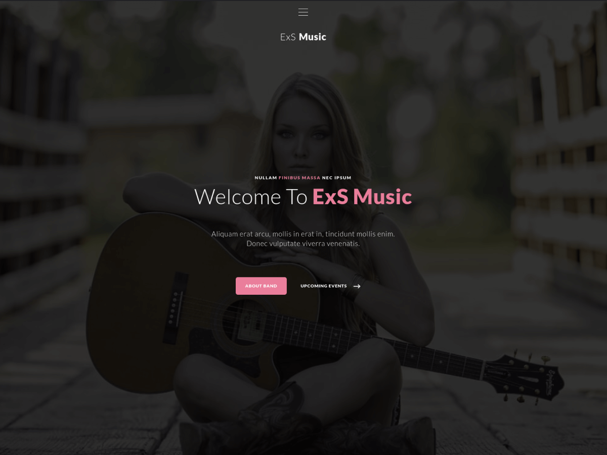 ExS Music Preview Wordpress Theme - Rating, Reviews, Preview, Demo & Download